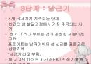 [A+] 프로이트의 정신 분석 이론 - 무의식, 성격의 구조, 원초아, 자아(ego), 승화론과 예술, 인간의성심리 발달단계, 잠복기, 생식기.ppt 16페이지
