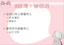 [A+] 프로이트의 정신 분석 이론 - 무의식, 성격의 구조, 원초아, 자아(ego), 승화론과 예술, 인간의성심리 발달단계, 잠복기, 생식기.ppt 17페이지