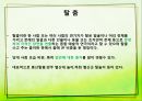 [A+] 한국의 서민문화 - 조선의 서민모습, 서당, 한국 서민문화 특징경향 서민들의 문화활동이 활발해진이유, 판소리풍속화탈춤.ppt 14페이지