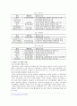 북한의 소프트웨어 발전사 6페이지