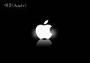 애플(Apple), 아이리버(Iriver) 성공요인분석.ppt 4페이지