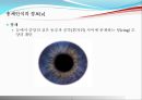 [전산망 보안] 홍채인식.PPT자료 7페이지