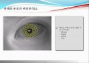 [전산망 보안] 홍채인식.PPT자료 12페이지