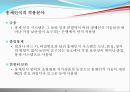 [전산망 보안] 홍채인식.PPT자료 17페이지
