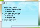 테마상가 발표자료(테마상가 개념 및 상가분류) 2페이지