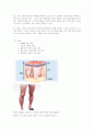 의료사회복지 화상환자 접근 2페이지