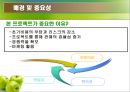 신개념 과일 판매  9페이지
