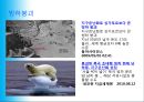 지구의 재앙 - 지구온난화 현상.ppt 13페이지