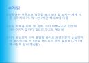 지구의 재앙 - 지구온난화 현상.ppt 18페이지