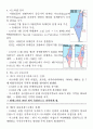 팔레스타인 문제  4페이지