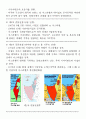 팔레스타인 문제  5페이지