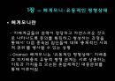 하위문화 (스타일의 의미)  17페이지