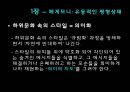 하위문화 (스타일의 의미)  20페이지