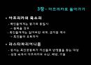 하위문화 (스타일의 의미)  25페이지