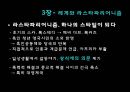 하위문화 (스타일의 의미)  27페이지