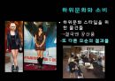 하위문화 (스타일의 의미)  39페이지