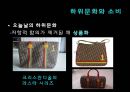 하위문화 (스타일의 의미)  40페이지