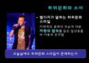 하위문화 (스타일의 의미)  41페이지