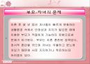 이혼가족의 문제 (부부의문제, 자녀의문제) 16페이지