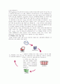 [구글] 구글(Google)의 성공전략 7페이지