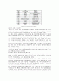 [구글] 구글(Google)의 성공전략 10페이지