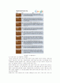 [구글] 구글(Google)의 성공전략 14페이지
