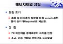베네치아와 오스만 제국의 경제활동  4페이지