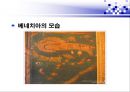 베네치아와 오스만 제국의 경제활동  6페이지