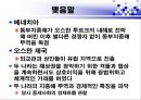 베네치아와 오스만 제국의 경제활동  30페이지