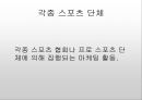 스포츠 마케팅에 대해서  10페이지