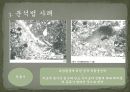 토양 미세형태분석법 사례 발표  20페이지