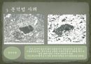 토양 미세형태분석법 사례 발표  21페이지