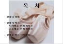 발레  2페이지