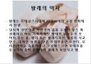 발레  4페이지