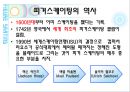 피겨스케이팅  4페이지