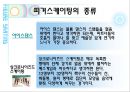 피겨스케이팅  9페이지