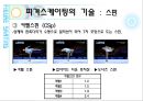 피겨스케이팅  14페이지