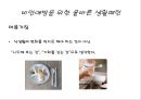 비만예방을 위한 올바른 생활패턴  8페이지