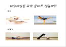 비만예방을 위한 올바른 생활패턴  17페이지