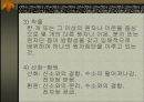 점적분석 5페이지