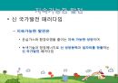 지속가능한 발전과 기후변화 기상이변 대책 3페이지