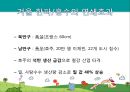 지속가능한 발전과 기후변화 기상이변 대책 7페이지