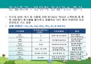 지속가능한 발전과 기후변화 기상이변 대책 11페이지