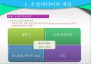 인터넷 소셜미디어, SNS와 우리나라 정치 선거 상관관계 3페이지
