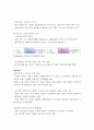 일본의 버블 붕괴 11페이지