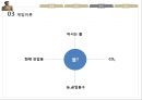비트겐슈타인의 언어철학.ppt 15페이지