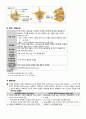 케이스 스터디 - Lumbar herniated intervertebral disc (요추 추간판 탈출증) &  Biliary Pancreatitis (담즙 췌장염) & nonrheumatic mitral regurgitation (비 류마티스성 승모판막 폐쇄부전증) 4페이지