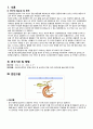 케이스 스터디 - Lumbar herniated intervertebral disc (요추 추간판 탈출증) &  Biliary Pancreatitis (담즙 췌장염) & nonrheumatic mitral regurgitation (비 류마티스성 승모판막 폐쇄부전증) 19페이지