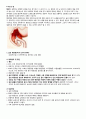 케이스 스터디 - Lumbar herniated intervertebral disc (요추 추간판 탈출증) &  Biliary Pancreatitis (담즙 췌장염) & nonrheumatic mitral regurgitation (비 류마티스성 승모판막 폐쇄부전증) 24페이지