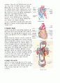 케이스 스터디 - Lumbar herniated intervertebral disc (요추 추간판 탈출증) &  Biliary Pancreatitis (담즙 췌장염) & nonrheumatic mitral regurgitation (비 류마티스성 승모판막 폐쇄부전증) 42페이지